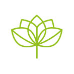 Eigenschaften: Hohe Bioverfügbarkeit